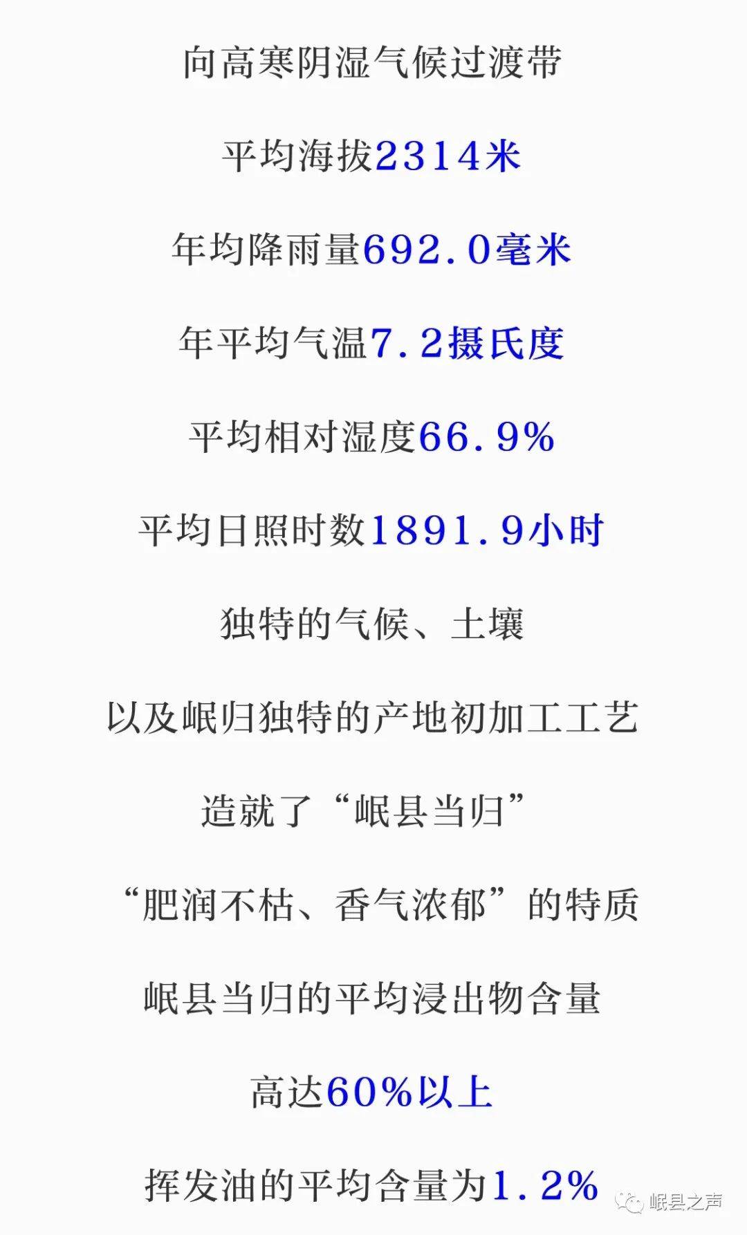 当归简谱_当归植物图片(3)