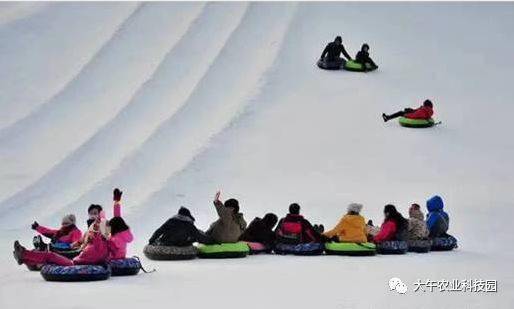 【仅25元】畅玩大午科技园包含18选10项套票 滑雪场 体验票