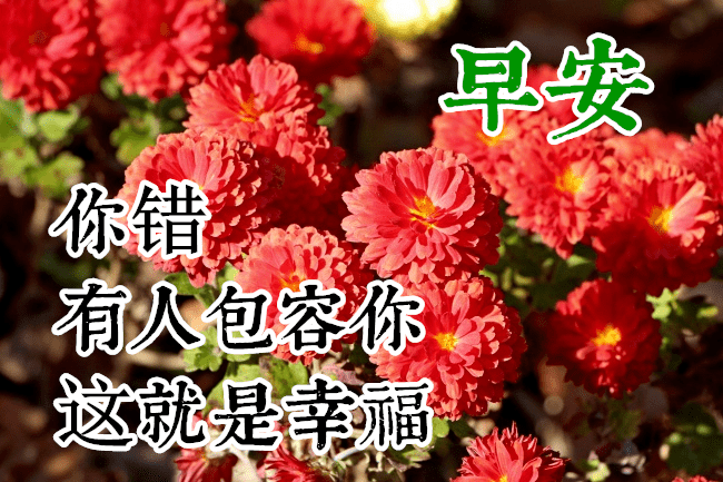 最新早上好祝福语大全,早上好问候语句子!