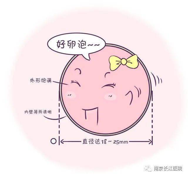 关于促排卵,你想知道的都在这里!