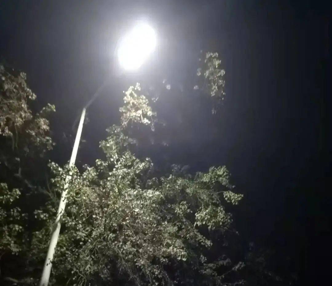 夜色中行走的风景