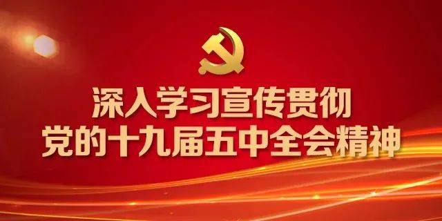 十九届五中全会经济总量