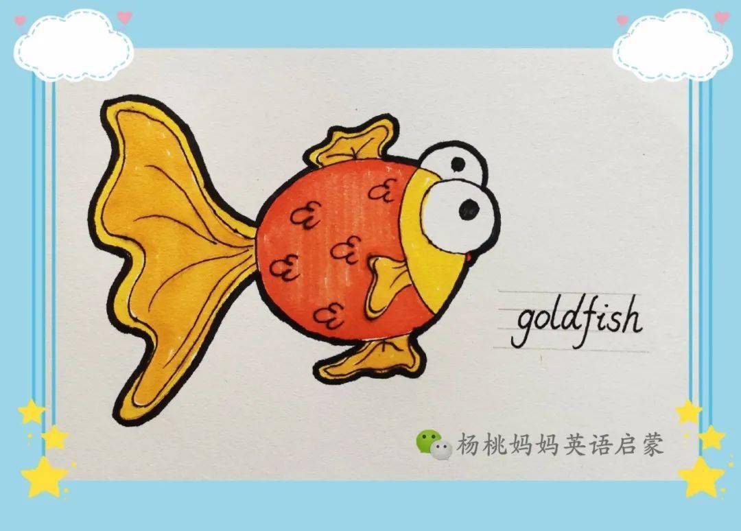 英语萌萌画goldfish金鱼