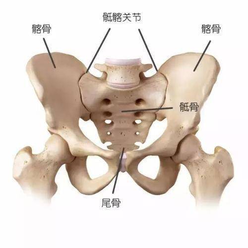 什么是骶髂骨关节炎,它和强直性脊柱炎的区别有哪些?_手机搜狐网