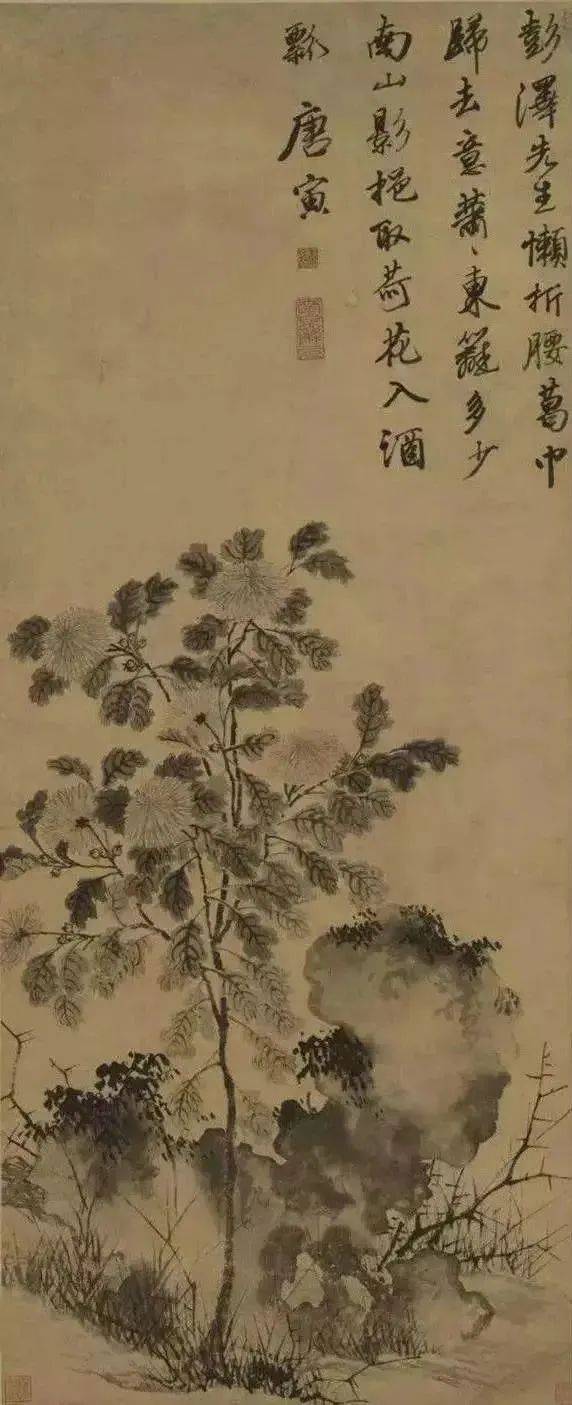 唐伯虎画花鸟,太罕见