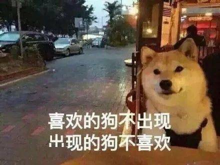 英语怎么说你们 fb1378bfe4a04ae88389b1fdd2fa8a76.jpeg