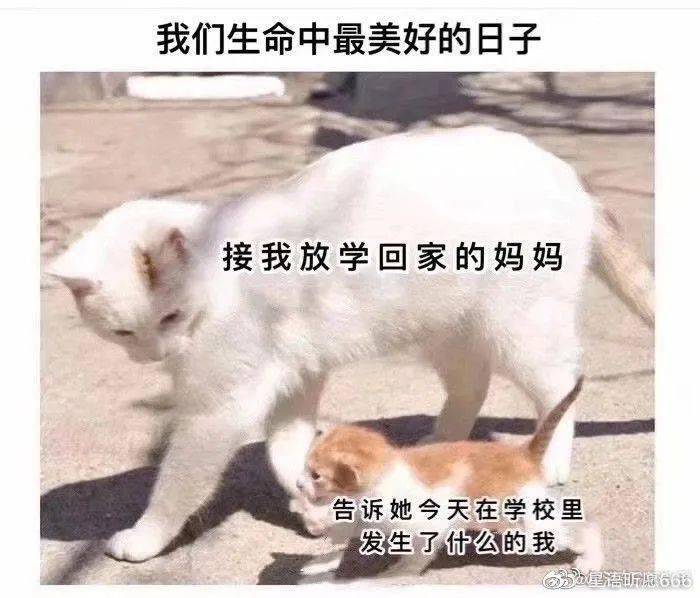 星语昕愿666 小学放学后爸爸妈妈接我回家, 在路边给我买好吃的东西