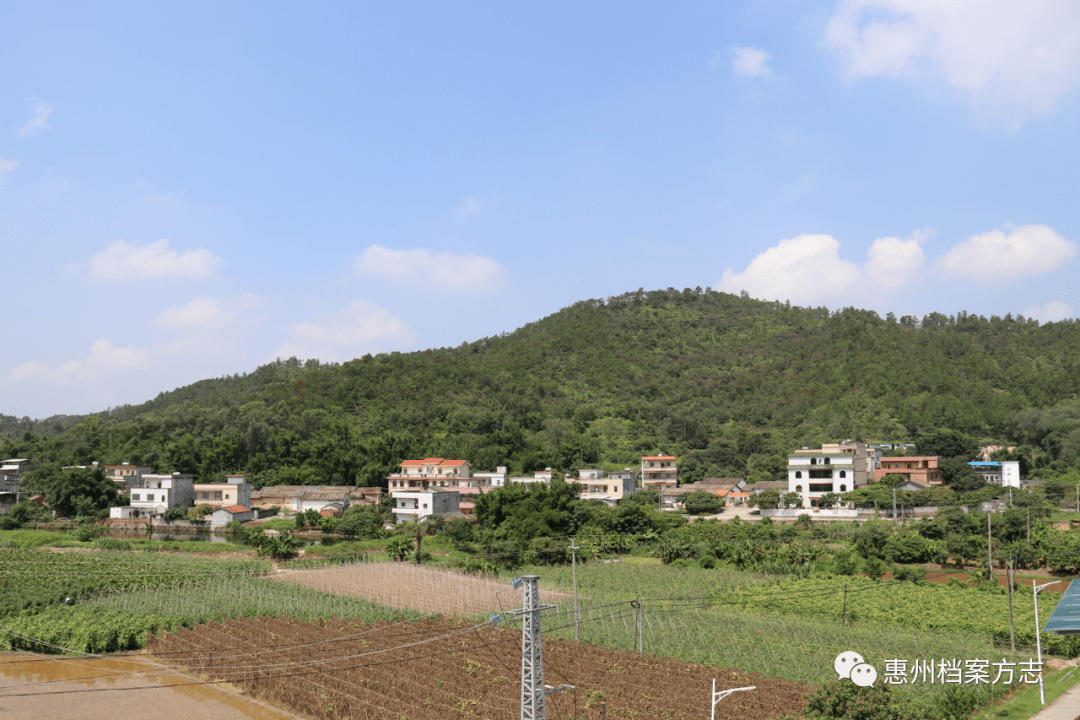 惠州档案方志—水口姚村村_惠城区