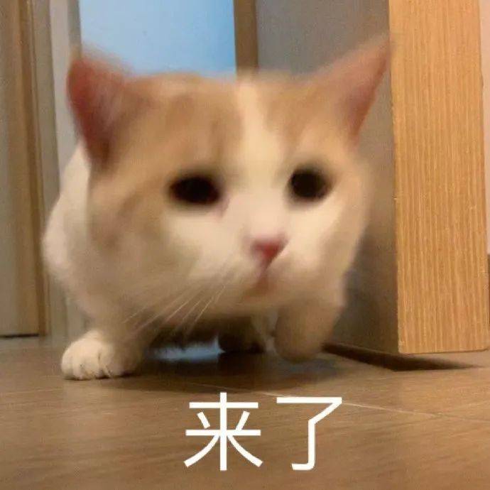 爱了爱了  #源自网络,侵联删 微信小程序搜 【闪萌表情】