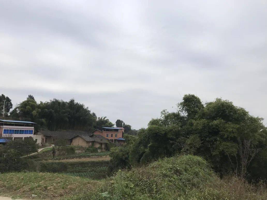 梁平25个村拟被认定为"重庆市美丽宜居乡村"!有你们村