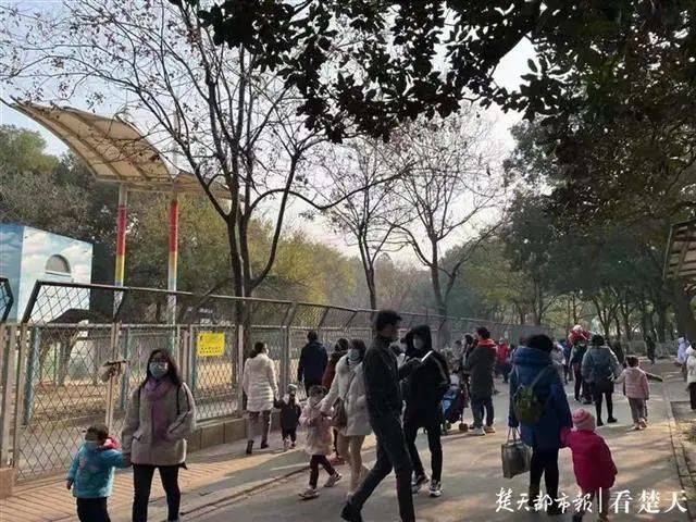武汉动物园周日游客量创本月新高，大波游客赶在闭园前来怀旧