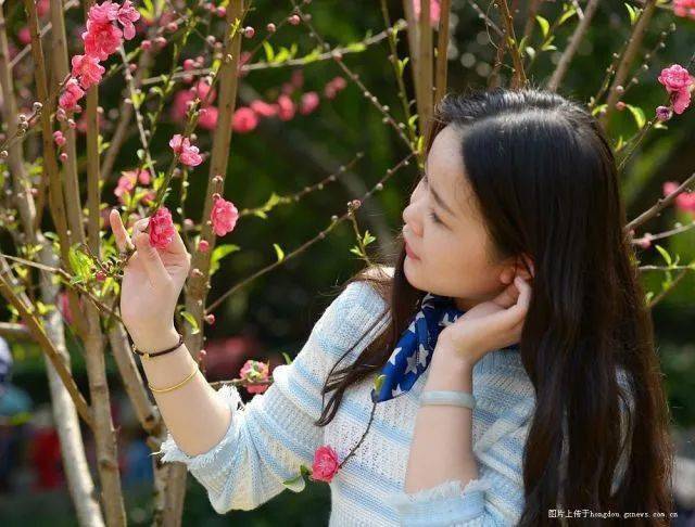 情歌对唱一曲《悠悠桃花情》好听极了 送给心爱的你