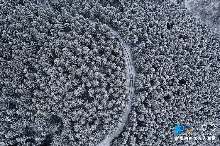 赏雪啦！这儿的山山岭岭银装素裹