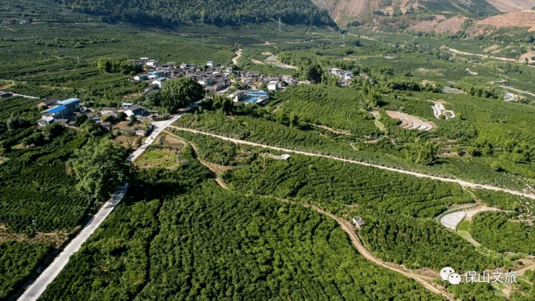 保山 这是一条充满咖啡与艺术气息的旅游线路!