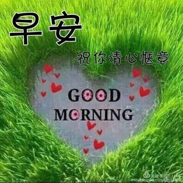 1e3bdc6e5c6445ae943ca75544fddf94.jpeg