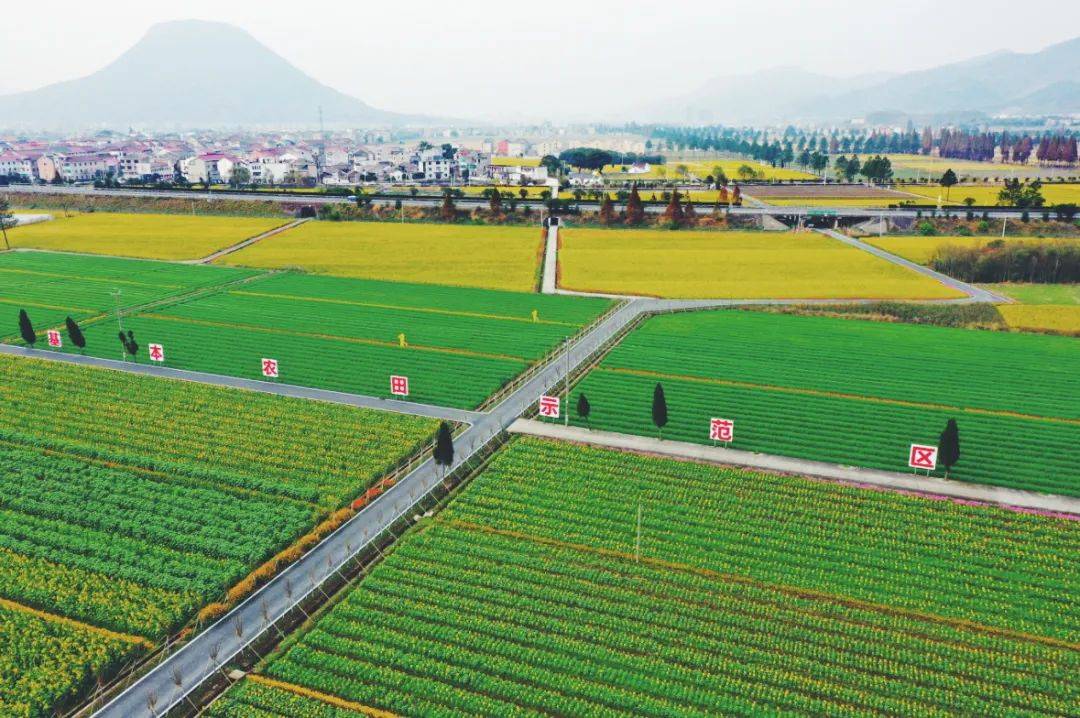 东阳湖溪镇八里湾共享田园