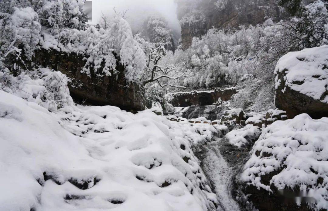 快看,昭通彝良小草坝雪景美翻天!