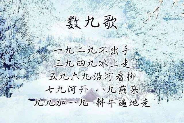 fb39b900a1b140d480d9004f94e13def.jpeg