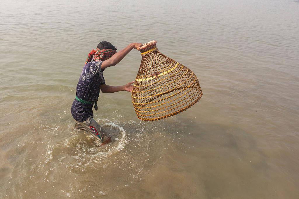 孟加拉渔民手持竹篮参加传统钓鱼节 集体搭船渡河颇为拥挤