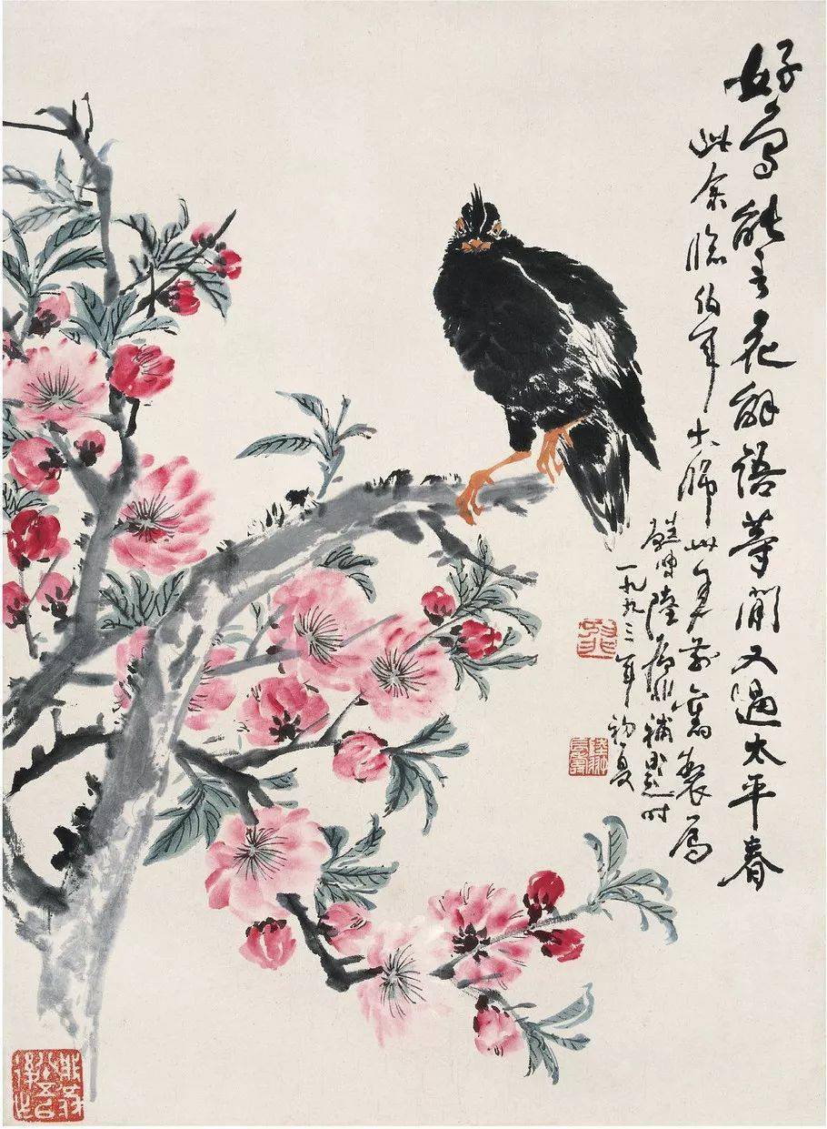 国画花鸟80幅,绝美之作