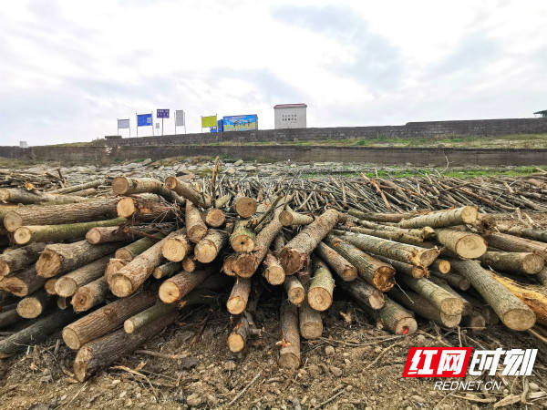 “益山益水、益美益阳”：蹚出一条绿色高质量