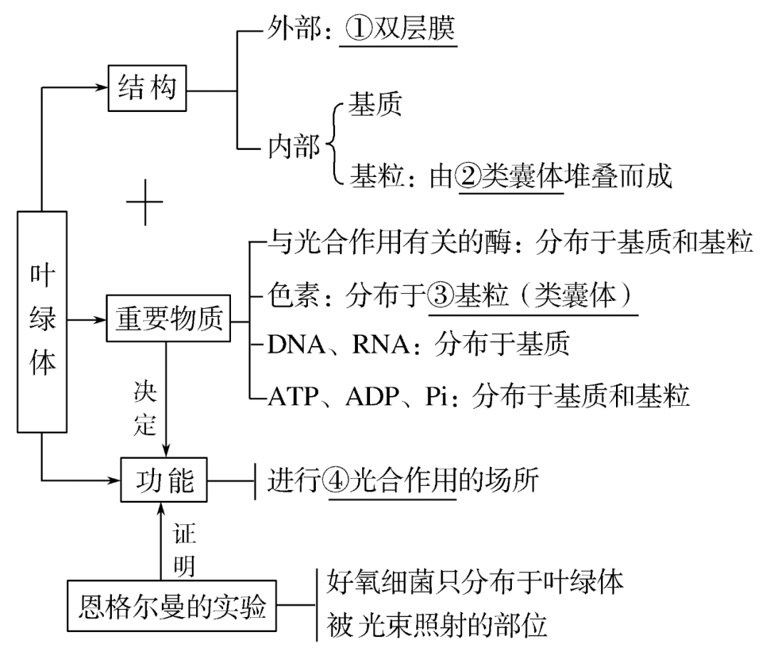 高考生物一轮复习 | 分子与细胞思维导图专题汇总汇总