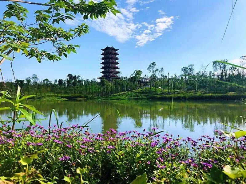 登高赏美景!遂宁这些地方别错过