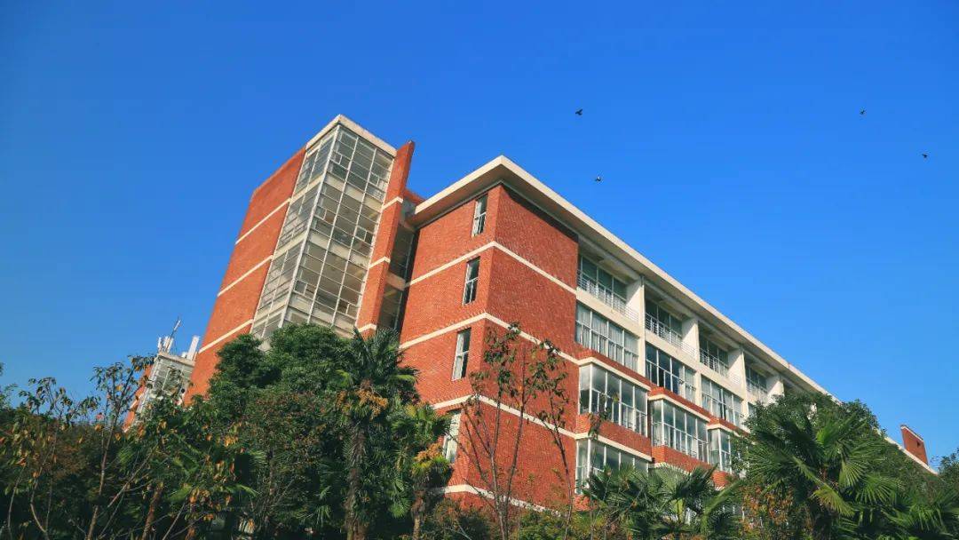 武汉科技大学城市学院