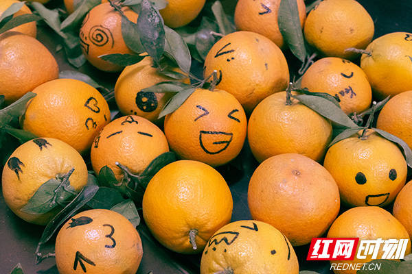 中南大学湘雅医学院保研生在1000个橙子上画笑脸为考研学生送祝福.