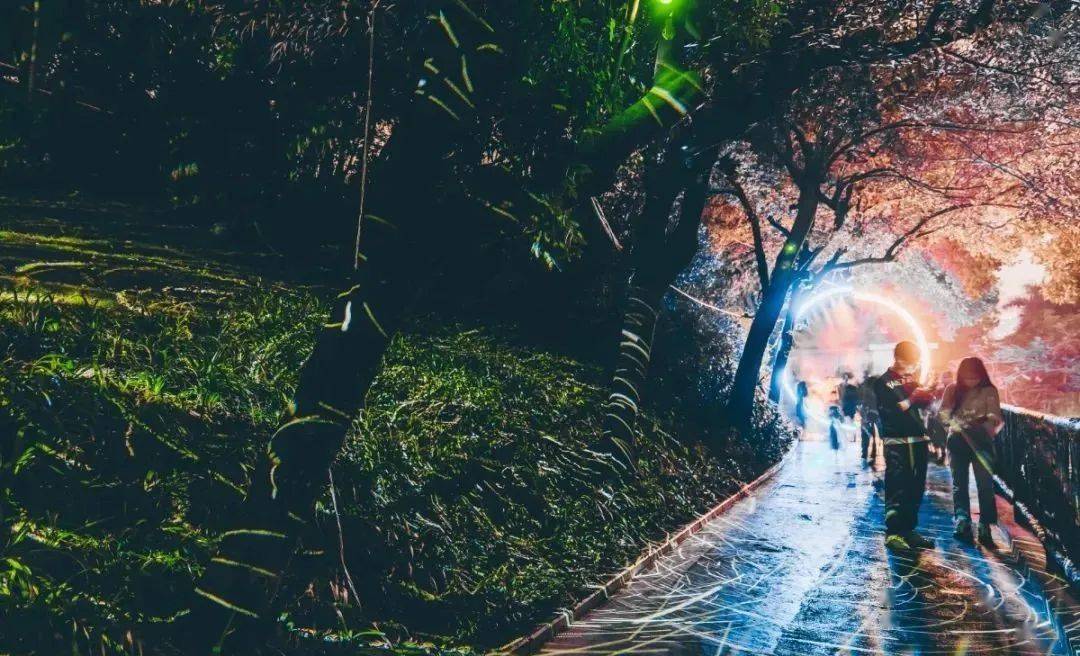 深圳首个光影森林,奇幻光景陪你度过欢乐跨年季!