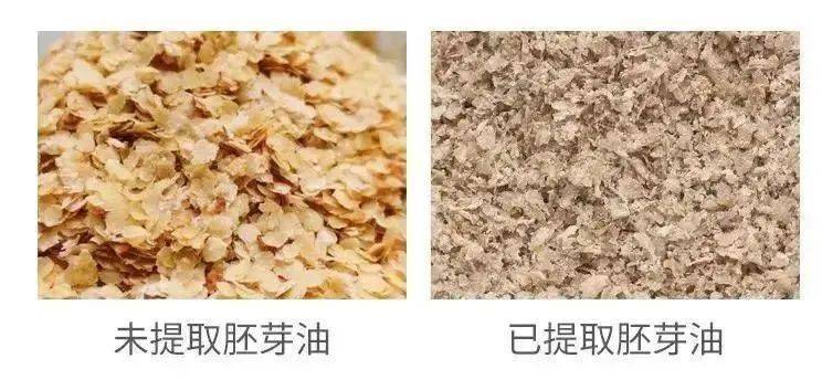 品质好物小麦胚芽植物燕窝高纤高蛋白富含维生素e维生素b