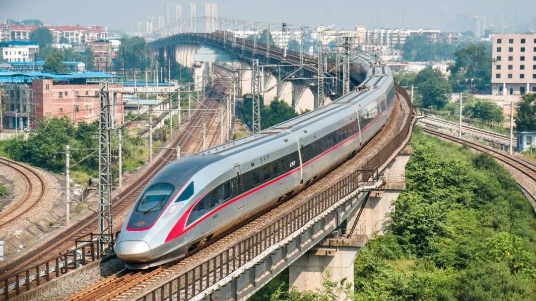 湘西保靖gdp2021_湘西保靖黄金茶图片