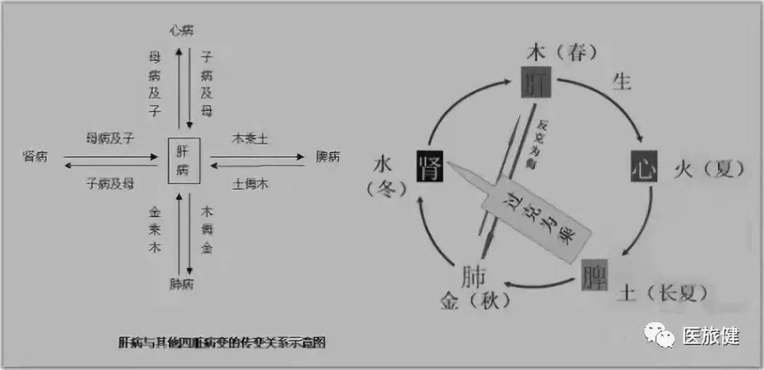 日本人图解中医!震撼!_倪海厦