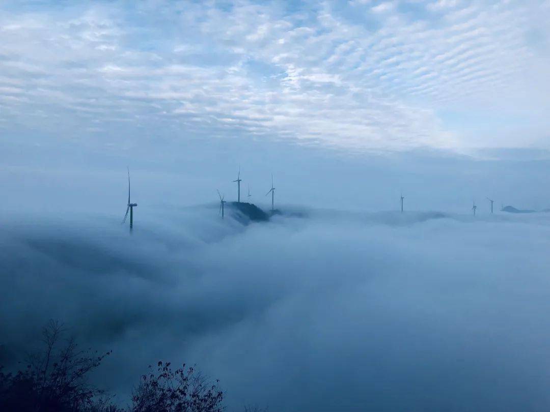 咸宁市水利局副局长徐家宏,通山县水利局局长石裕刚,新能源湖北分公司