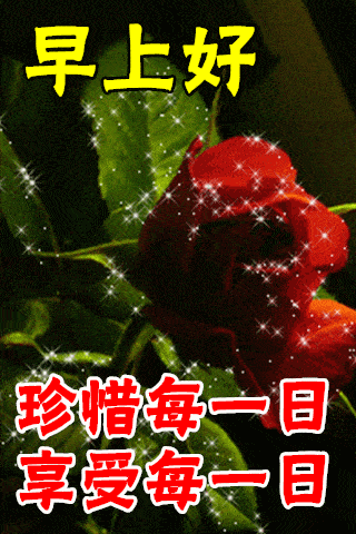 12月25日最漂亮早上好动态表情图片大全,早晨好动大全
