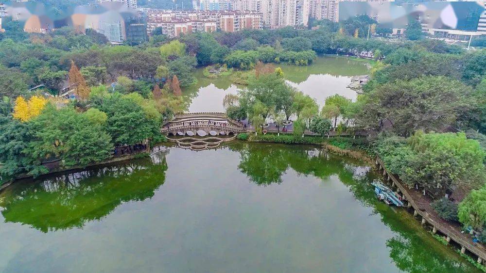 重庆大渡口区2020年G_重庆轻轨2020年规划图