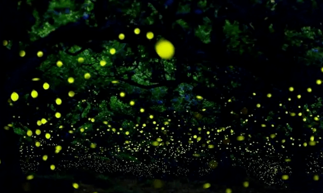 d8a03bfe1c8d4693ae690cb12a9698b6.png