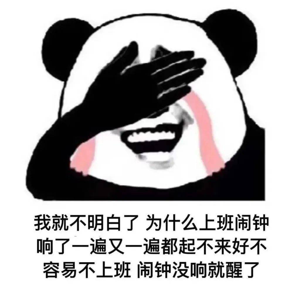 表情包动图 | 该来敷衍我了