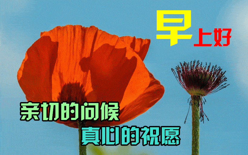 精神真爽,又减了几磅,真是好样,这样下去有希望,我把音乐放,噪音大的