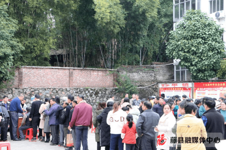 藤县各镇人口_广西梧州藤县照片