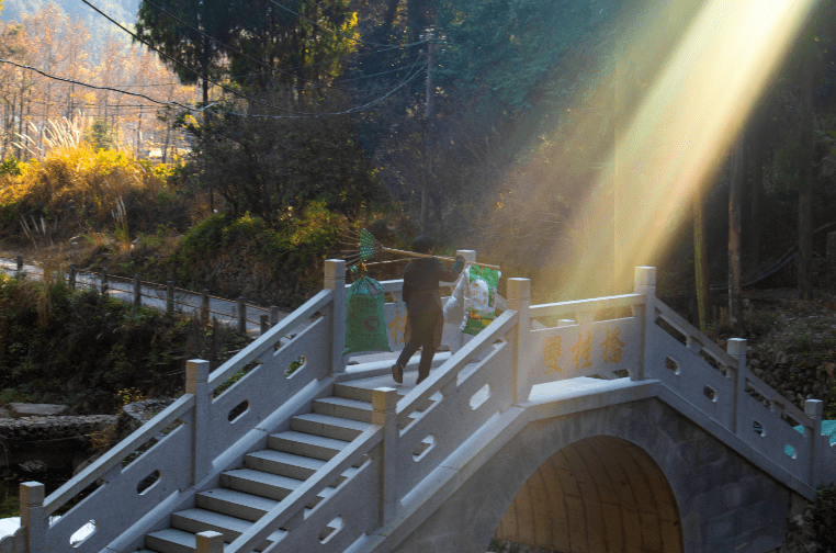 乐清虹桥人口_乐清虹桥中学图片