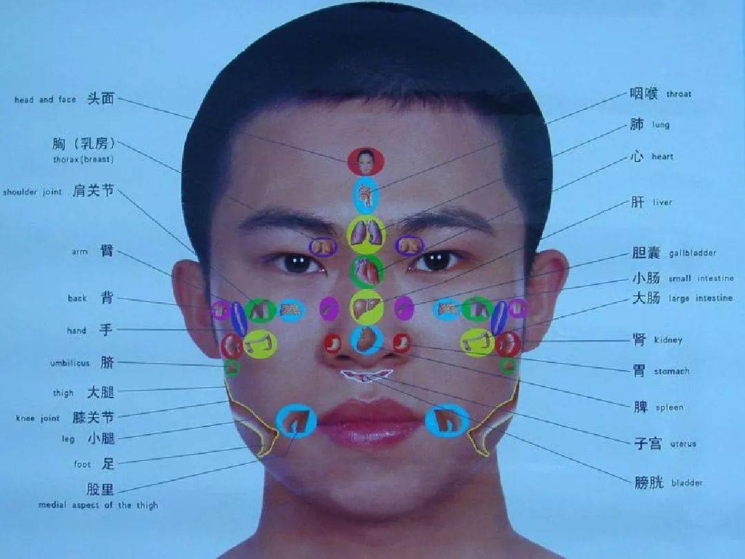 培训地址:广州 人体的面部巡行的经络有9条 简记为:任督肝 大三小 胃
