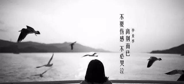 3bfd5f182c164a799c18cc118e02d0c0.jpeg