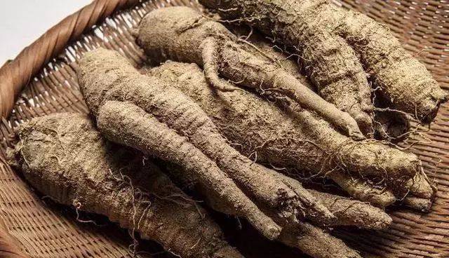 沙参图片及功效 6470e521d7cb45ee99553e8cfa0980ab.jpeg