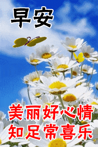 320_480竖版 竖屏gif 动态图 动图