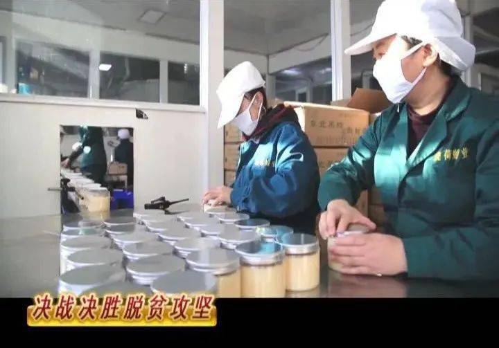 驼峰镇人口_驼峰桥标志