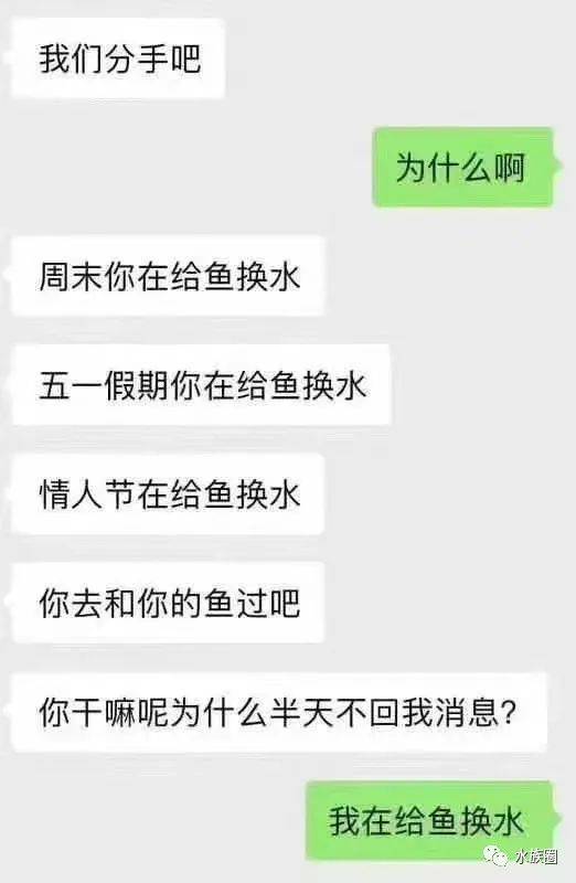 养鱼人的表情包养鱼真香这些表情您都看过吗惠存