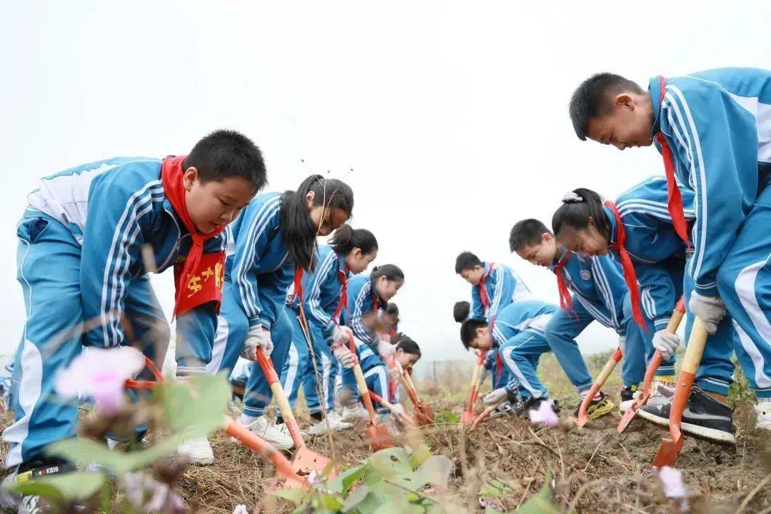 研学促成长农耕涨见识来看这些学校的研学活动