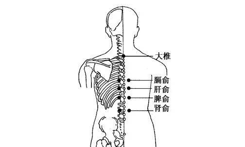 简简单单就变美!_脾胃