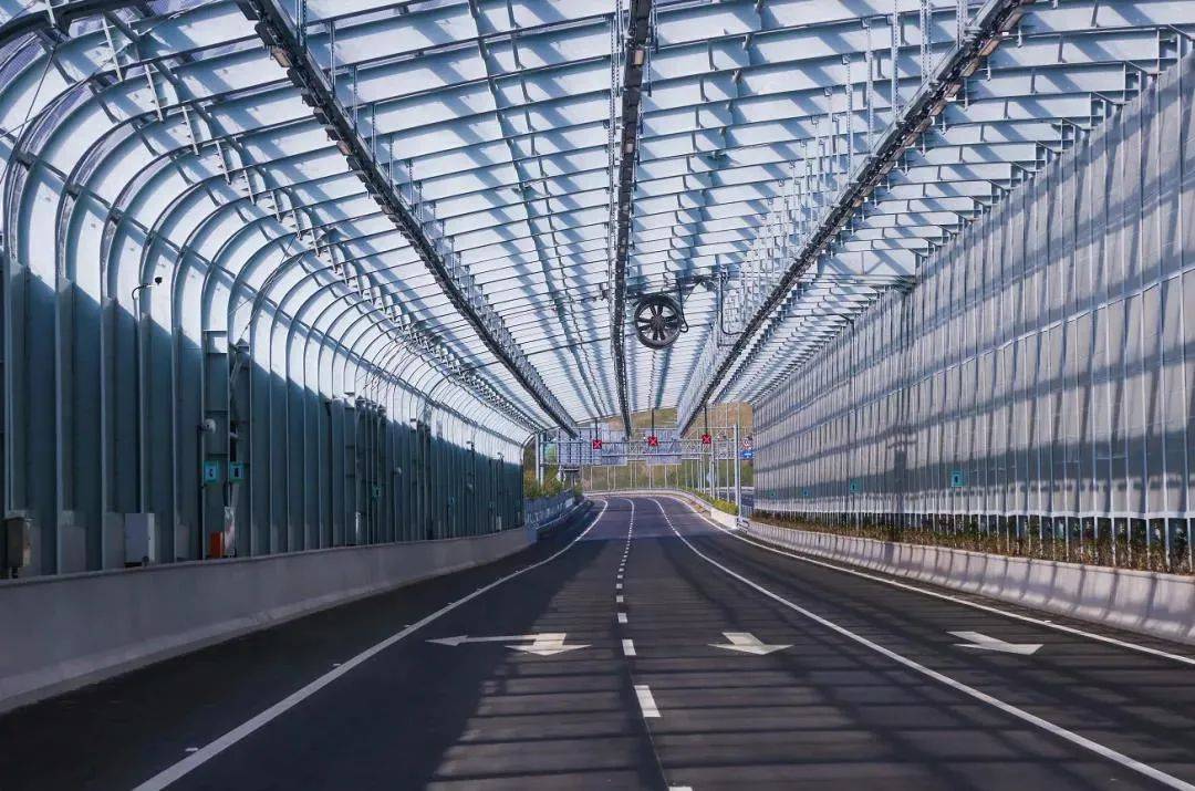 2020上半年全球城市g_城市